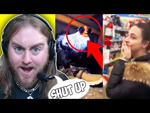 Видео: НЕУМЕРЕННЫЕ СМЕШНЫЕ МЕМЫ