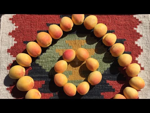 Видео: Արցախի ավանդական փլավ / Artsakhi avandakan plav / Арцахи авандакан плав