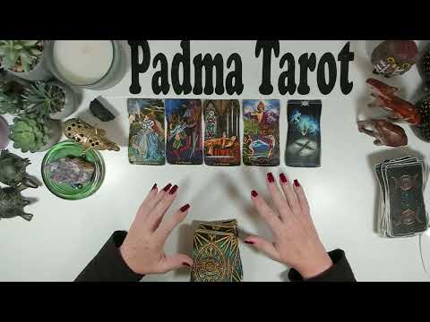 Видео: ТЕЛЕЦ♉️ ПРИСТЕГНИТЕСЬ, ПОРА ИДТИ! 3–9 НОЯБРЯ. Еженедельное гадание на картах Таро 🔮💫