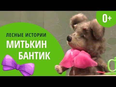 Видео: Митькин бантик | Лесные истории (0+)