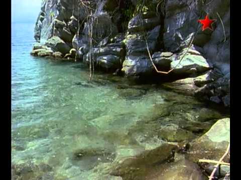 Видео: Маленькая рыбка в глубокой воде