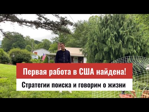 Видео: Первая работа в США найдена. Что я думаю о переезде