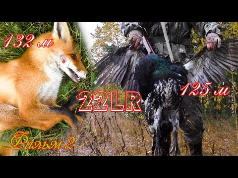 Видео: 22lr/ОХОТА В ГЛУХАРИНОМ РАЮ/Фильм 2
