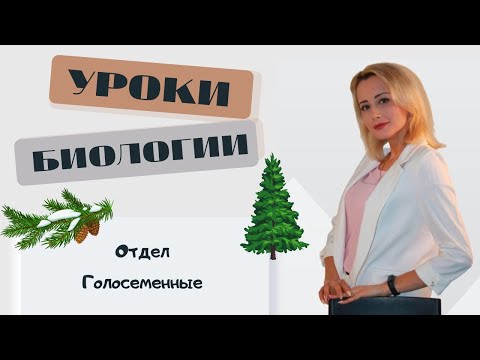 Видео: Отдел Голосеменные  Общая характеристика и значение