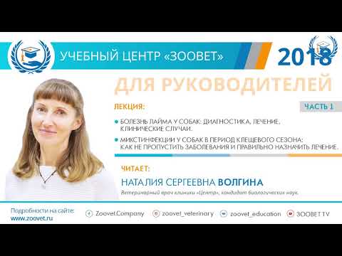 Видео: Н. С. Волгина в УЦ «Зоовет» | Болезнь лайма у собак. Микстинфекции у собак, ч. 1