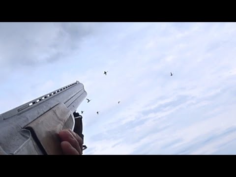 Видео: Охота на уток 2023г.