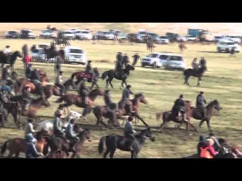 Видео: Егетаев Дүйсен ата Көкпар Қазығұрт - 09.11.2014 (1)