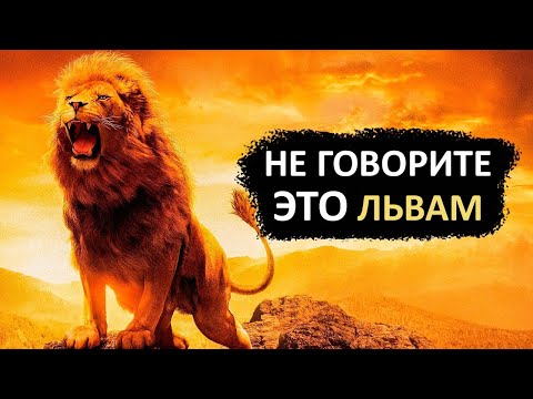Видео: Не говорите эти 15 фраз знаку ЛЕВ
