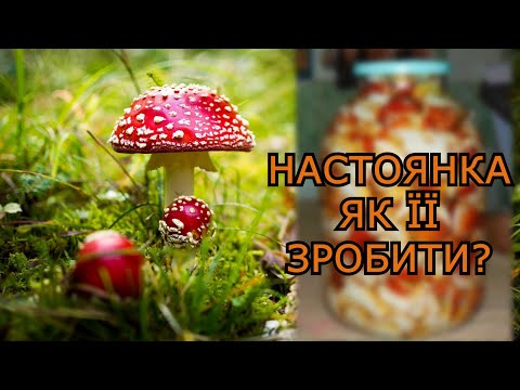 Видео: МУХОМОРна настоянка. РЕЦЕПТ