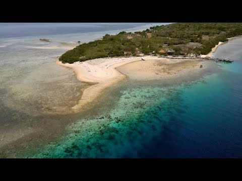 Видео: Запрещённая рыбалка на райском острове┃2 дня с каяком в море. Часть 3