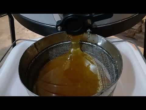 Видео: 🔴Отбираем мёд перед летним взятком