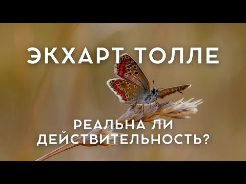 Видео: Экхарт Толле - ПРЕОДОЛЕНИЕ МИРА [Лекции 07] Nikosho