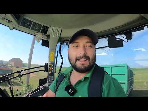 Видео: Збираємо ріпак‼️ Я інфаркту дістану з такою погодою😭😭