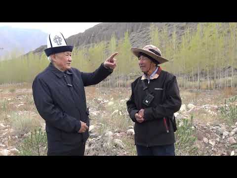 Видео: Кыргызстандык Мичурин 1-бөлүм. Көлдүк багбан Болгонбай Дүйшөбаев