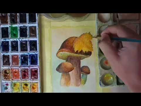Видео: Грибы - осенний рисунок акварелью.  Mushroom drawing | Art Time