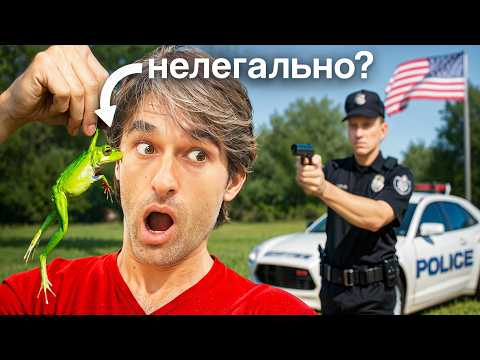 Видео: Самые СТРАННЫЕ Законы США, но лучше их знать!