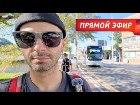 Видео: 🇰🇷 НА СВЯЗИ РАБОЧИЙ КЛАСС #shorts #korea #стрим