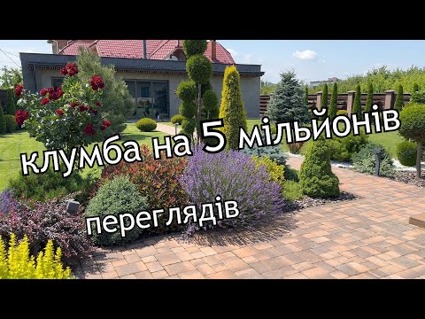 Видео: Клумба на 5 мільйонів переглядів