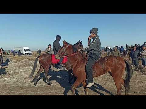 Видео: 11-ЯНВАРЬ 2025 ж МАҚСЕТ АҒАНЫҢ 50 ЖАС ЖӘНЕ НЕМЕРЕЛЕРІНІҢ СҮНДЕТ ТОЙЫ