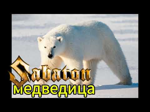 Видео: Sabaton - Медведица (Udio ai cover)