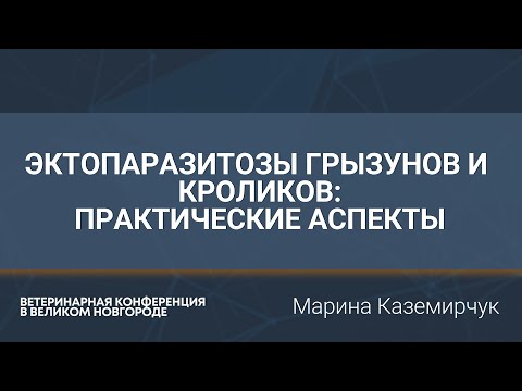 Видео: Эктопаразитозы грызунов и кроликов: практические аспекты