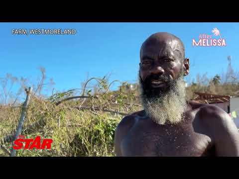 Видео: Ураган Мелисса: Последствия | «Мелисса забрала у нас „Пунси“»