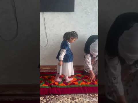 Видео: 26 февраля 2025 г.