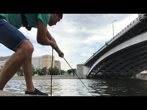 Видео: КИНУЛ ПОИСКОВЫЙ МАГНИТ В РЕКУ И НАЛОВИЛ МЕТАЛЛ, magnet fishing