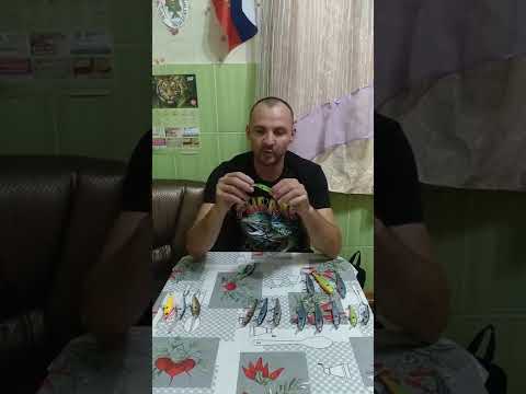 Видео: Рассказ о приманках Lucky Craft про семейство Pointer!!!