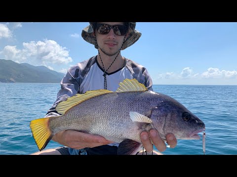 Видео: Ловим на Малом Утрише с лодки! Рыбалка на Черном Море) Рыбы полно!
