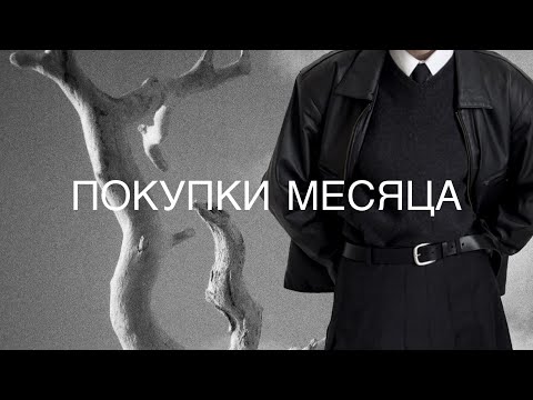 Видео: ПОКУПКИ МЕСЯЦА | BALENCIAGA | MM6 Maison Margiela | ZARA | Nike - обзор