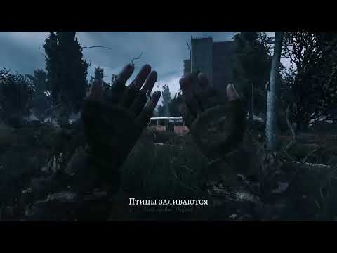 Видео: Там, где был твой дом... S.T.A.L.K.E.R. Edit.