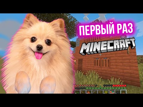 Видео: ПЕРВЫЙ РАЗ ИГРАЮ В МАЙНКРАФТ ! 99% НЕ СМОГУТ ПОСТРОИТЬ ТАКОЙ УЖАСНЫЙ ДОМ