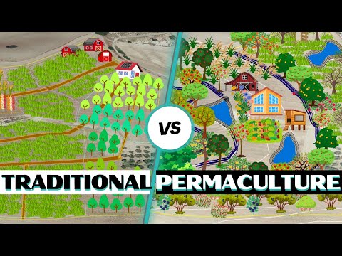 Видео: Традиционный дизайн фермы и дизайн пермакультуры: в чем разница?