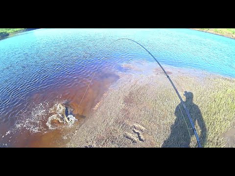 Видео: Я НАЛОВИЛСЯ!!! ПОРА БЕЖАТЬ ОТ ЭТОЙ РЫБАЛКИ! Грусть Прощания