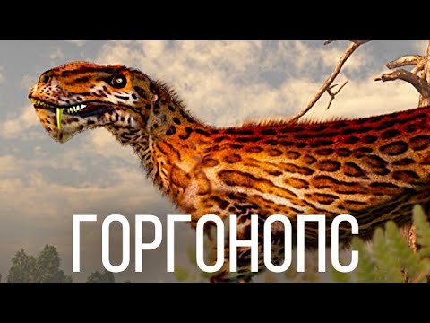 Видео: Самые крупные древние млекопитающие, по сравнению с которыми динозавры — щенята