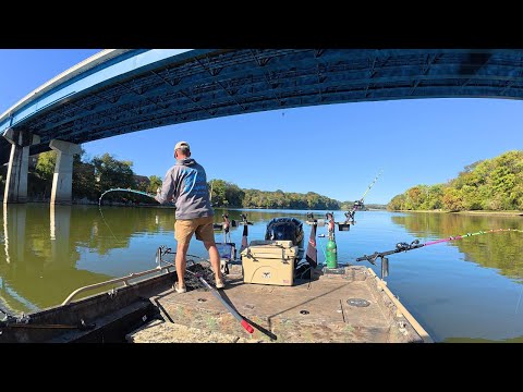 Видео: Они в движении