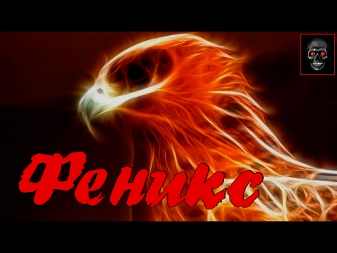 Видео: Феникс [Легендарные мифические существа]