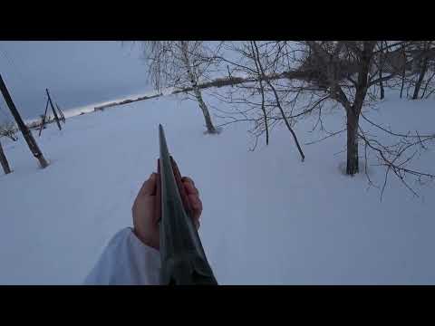 Видео: охота на зайца 13.01.24  подранок прибежал к моим ногам