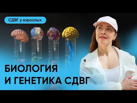 Видео: Биология и генетика СДВГ, передается ли по наследству, что происходит с мозгом l №9 СДВГ у взрослых