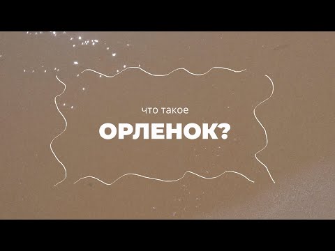 Видео: Что такое "Орленок"?