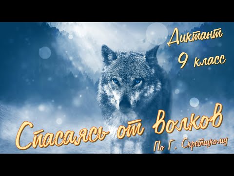 Видео: Диктант по русскому языку с проверкой! 9 класс. Спасаясь от волков #диктант9класс #диктант