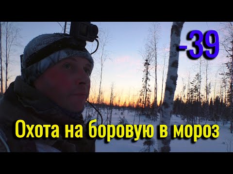 Видео: Охота на боровую дичь в мороз! Добрали чтоб не мучалась. Всё болото в глухариных лунках.