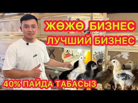 Видео: ЖӨЖӨ БИЗНЕСтен 40% таза ПАЙДА ТАПСА БОЛОТ  |  Даяр БИЗНЕС сатылат