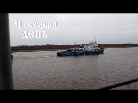 Видео: 31 окт. Послеобеденный хмурый день на Иртыше.