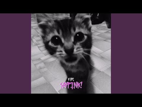 Видео: Кис