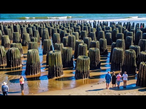 Видео: НЕЧТО, Что Было Снято На Камеру НА ПЛЯЖЕ, Потрясло Весь Мир!