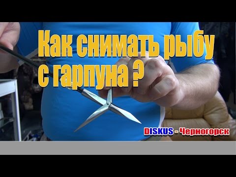 Видео: Подводная охота: Как снимать рыбу с гарпуна?