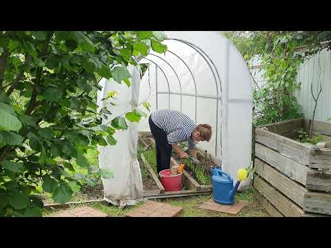 Видео: Как на Авито продавать просто (пошагово) и на даче трудиться легко