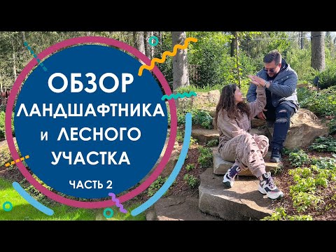 Видео: Обзор лесного участка с водным каскадом. Диалог про туи и бюджет сада. Часть 2